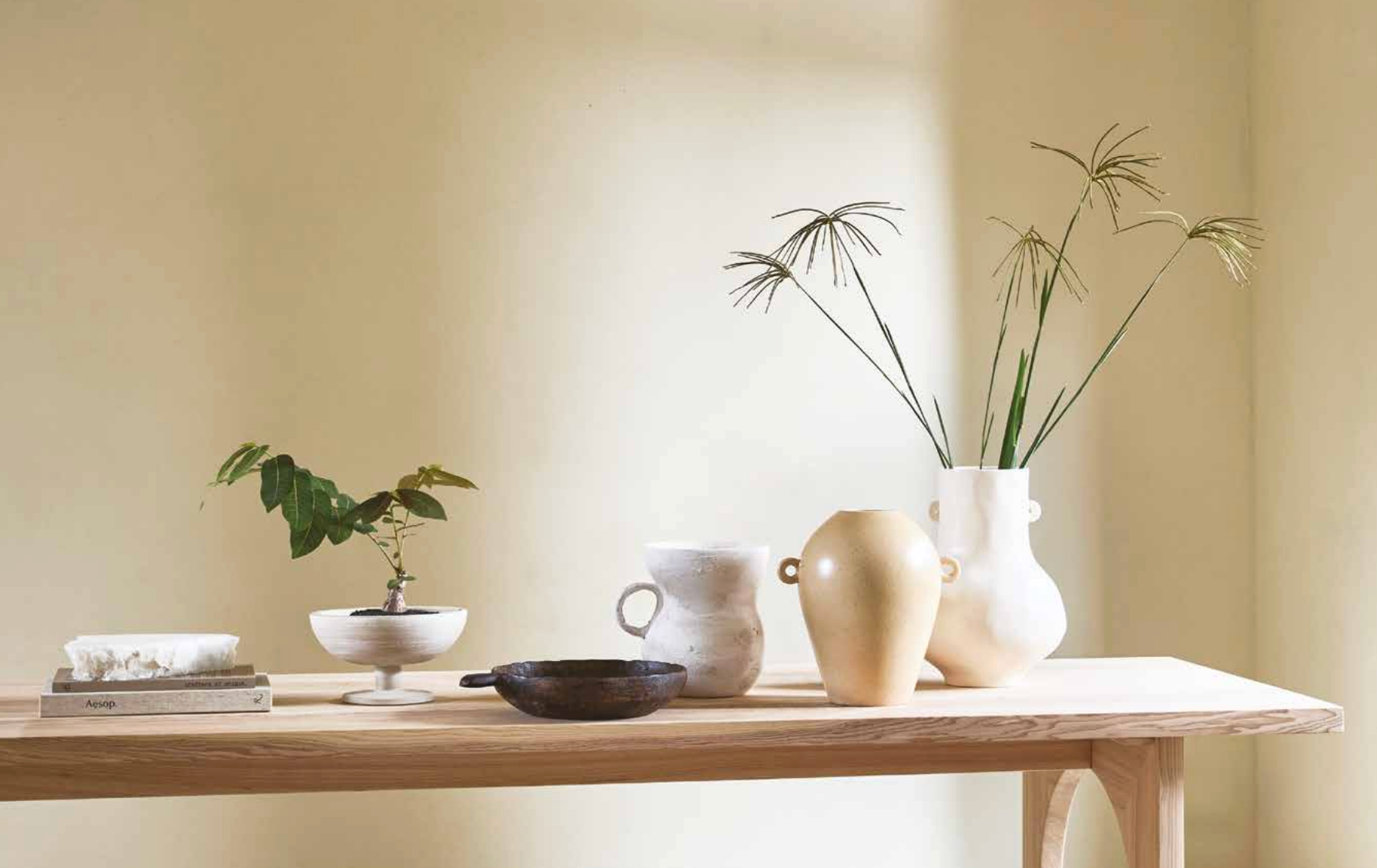 Urban Nature Culture Amsterdam – 30% Off Sale