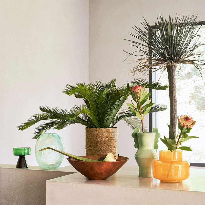 UNC- Circulo Pale Green