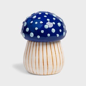 KLEVERING-Jar magic mushroom medium
