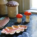KLEVERING-Salt & pepper mushroom