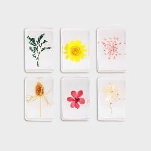 KLEVERING-Cube wildflower small 30 ass.