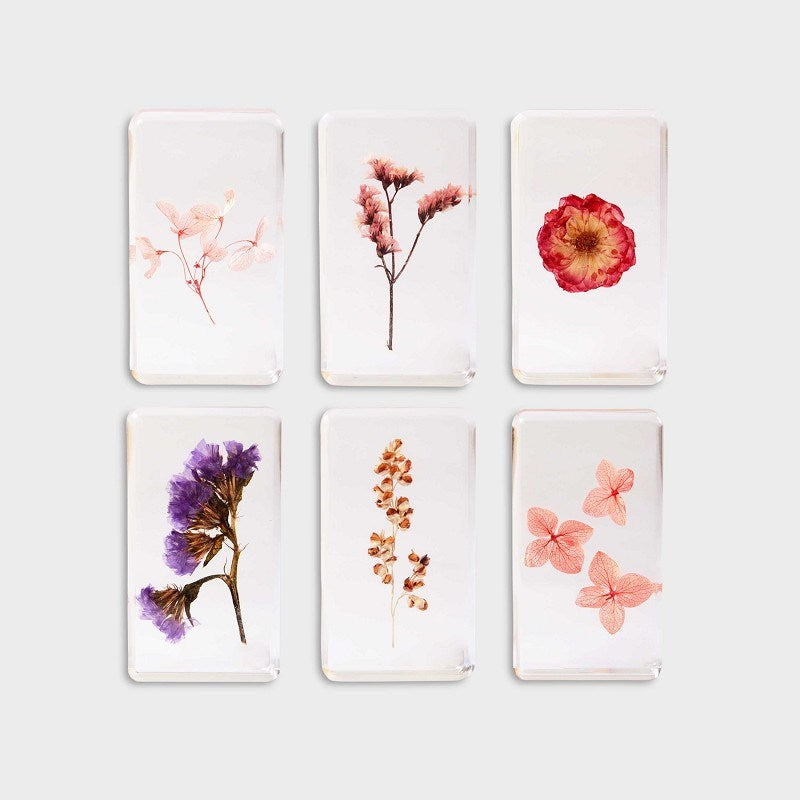 KLEVERING-Cube wildflower large 18 ass.