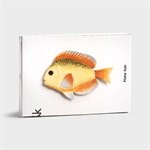 KLEVERING-Plate fish rainbow