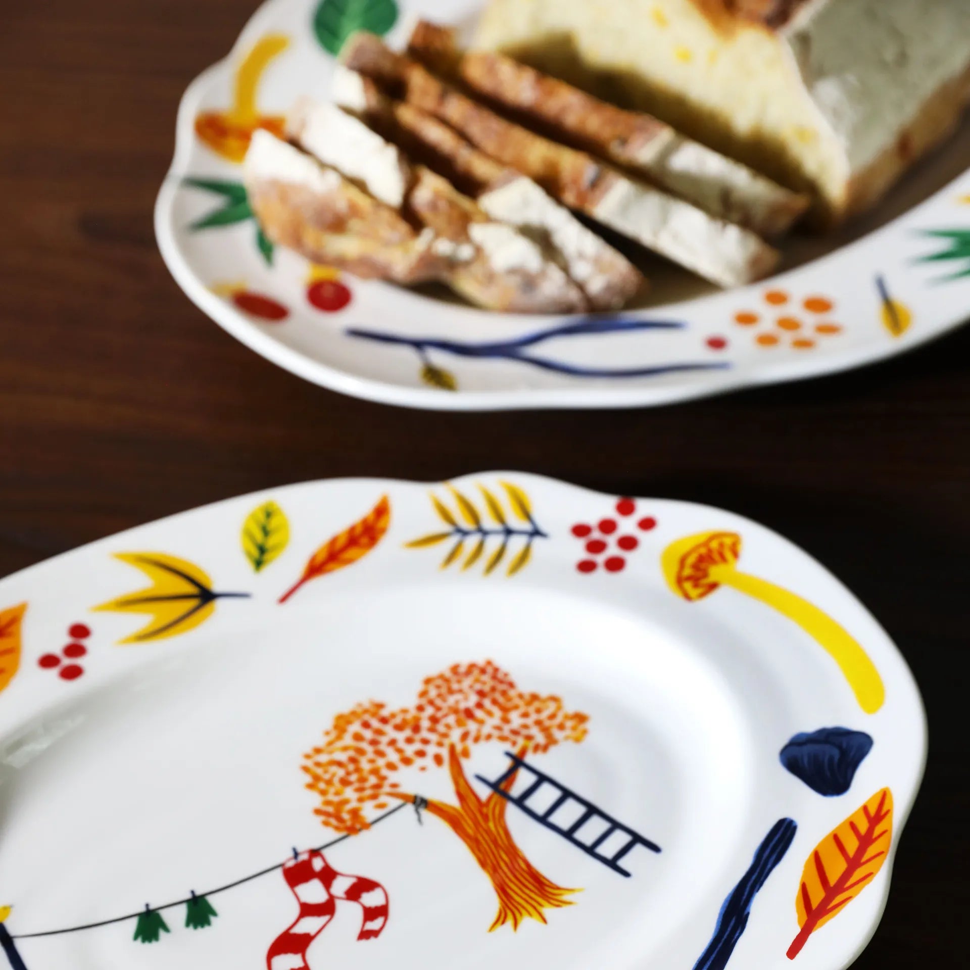 KLEVERING-Platter haines