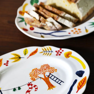 KLEVERING-Platter haines