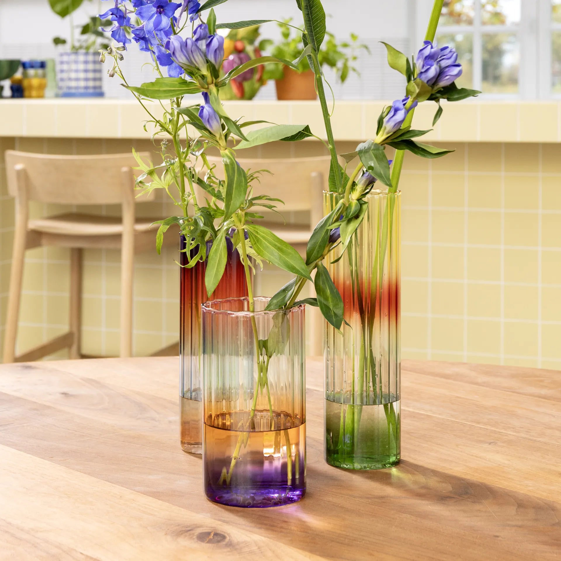 KLEVERING-Vases gradient evening 3 sizes