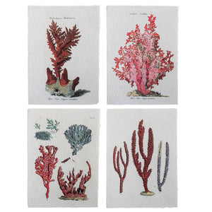 BLOOMINGVILLE - Set of 4 Botanic posters